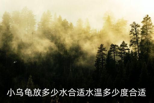 小乌龟放多少水合适水温多少度合适