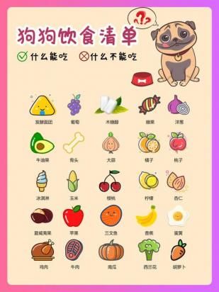 3个月罗威纳犬的食谱-图1