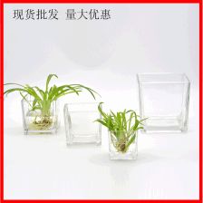 绿萝植物水培方缸客厅创意桌面花瓶欧式加厚描金正方形玻璃烛台