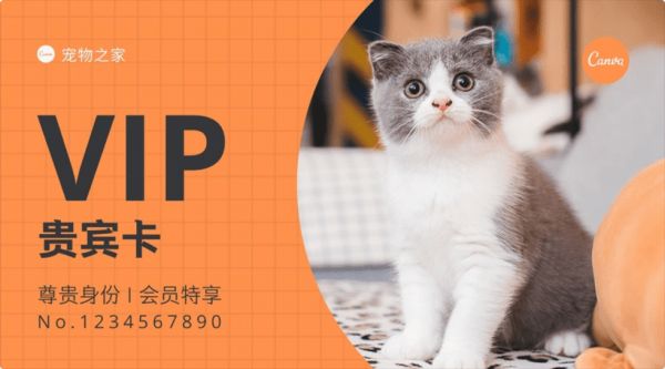 宠物店名片设计指南∣优秀的名片设计,能让生意更好哦