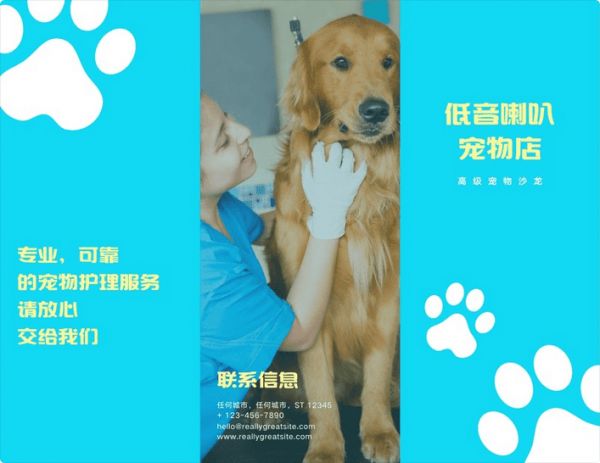 宠物店名片设计指南∣优秀的名片设计,能让生意更好哦
