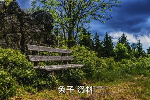  兔子 资料