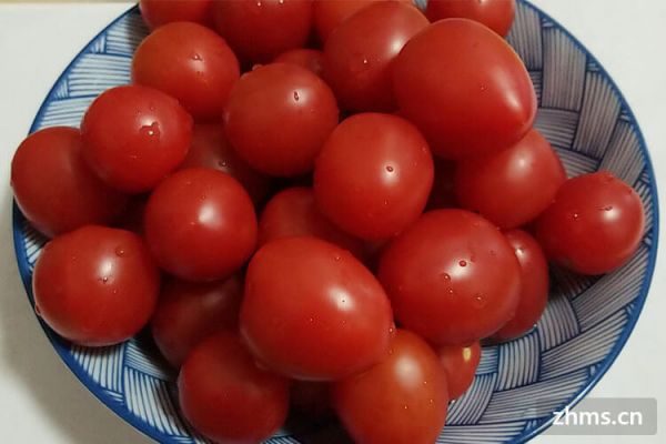 宝宝易消化的食谱