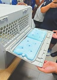 　　箱体外侧排风口盖子下面放置了冰板。
