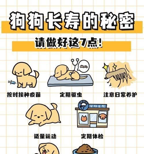 采用合理饮食加治疗，加速狗狗康复速度（以犬瘟治不好？只需合理饮食加治疗，狗狗会快速康复）