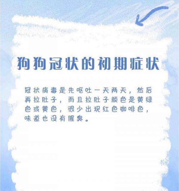 采用合理饮食加治疗，加速狗狗康复速度（以犬瘟治不好？只需合理饮食加治疗，狗狗会快速康复）