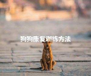 狗狗康复训练方法
