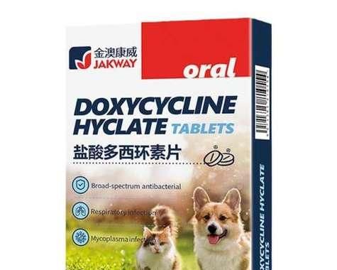 狗感冒了，该喂什么食物？