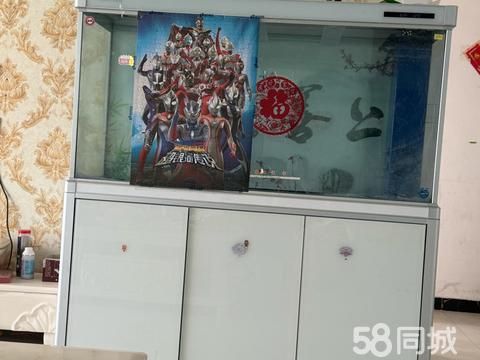 菏泽花鸟鱼虫·观赏鱼缸