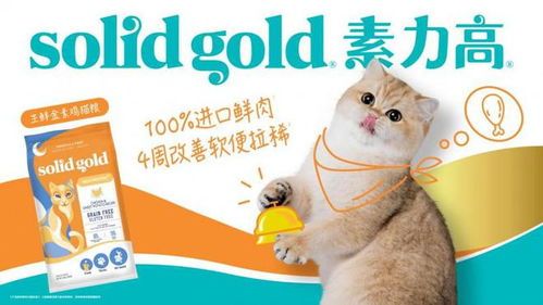 宠物营养补给，全面呵护宠物健康。