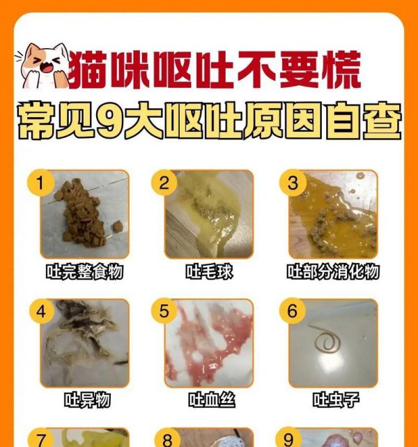 高爷家猫粮导致猫咪呕吐的原因？
