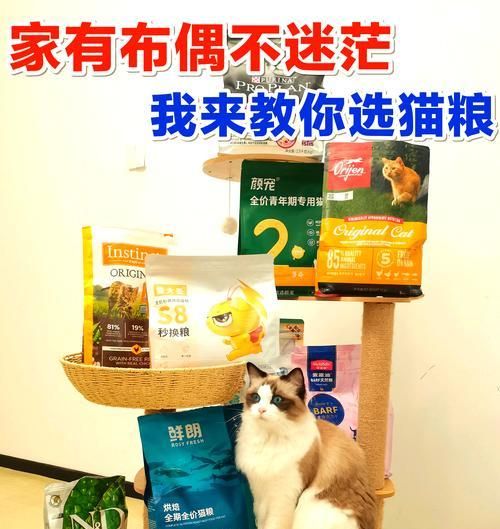 布偶小猫软便适合吃什么猫粮？如何选择合适的猫粮？