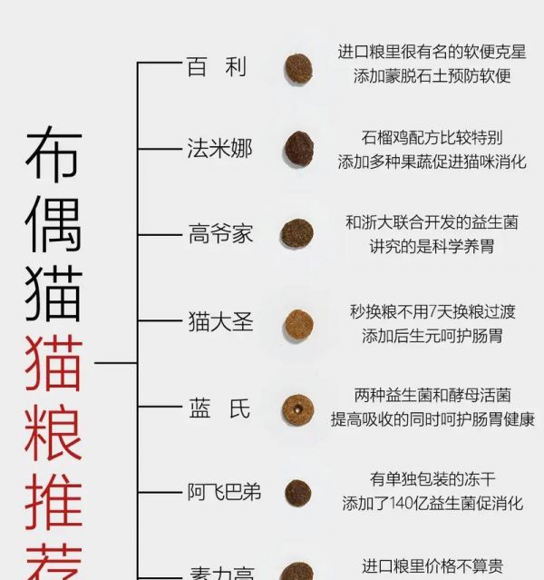 布偶小猫软便适合吃什么猫粮？如何选择合适的猫粮？