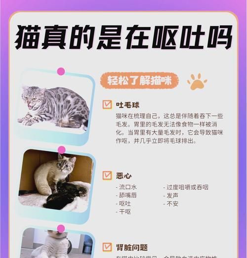 猫吃了不同猫粮呕吐的原因是什么？如何处理？