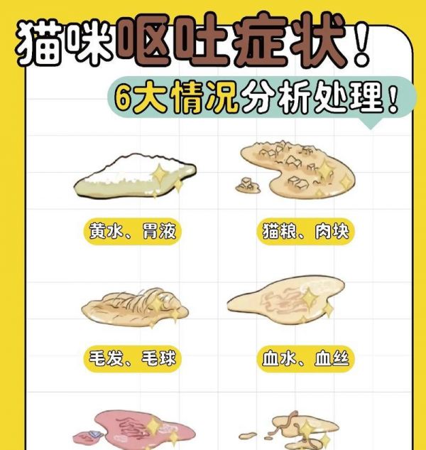 猫吃了不同猫粮呕吐的原因是什么？如何处理？