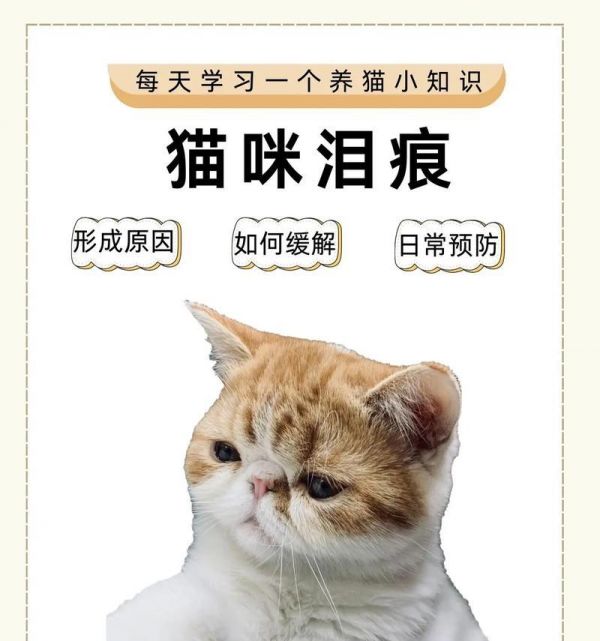 哪种处方粮对猫泪痕有改善效果？