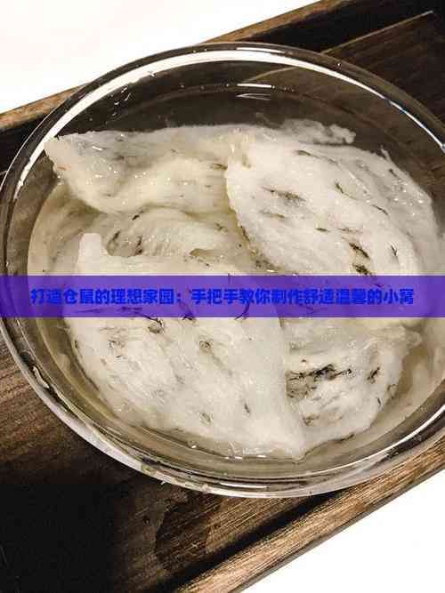 打造仓鼠的理想家园：手把手教你制作舒适温馨的小窝