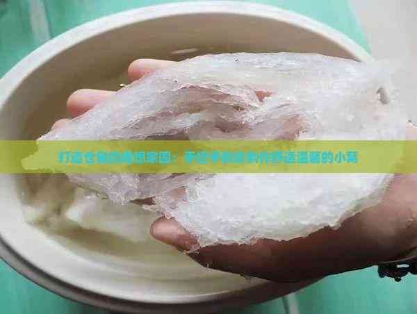 打造仓鼠的理想家园：手把手教你制作舒适温馨的小窝