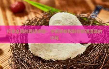 打造仓鼠的理想家园：手把手教你制作舒适温馨的小窝