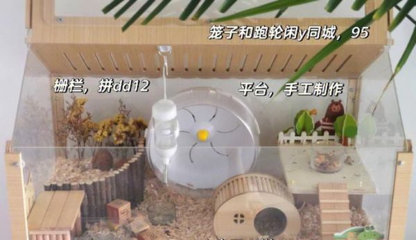 如何制作仓鼠的房子？需要哪些材料和步骤？ 第2张