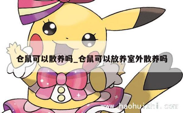仓鼠可以散养吗_仓鼠可以放养室外散养吗 第1张