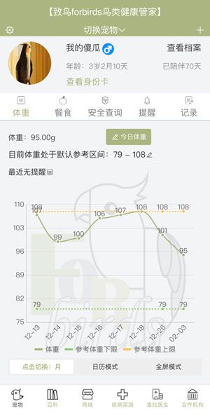 【致鸟】 鹦鹉雏鸟多久喂一次？幼鸟和成鸟喂养有什么不同？ 第2张