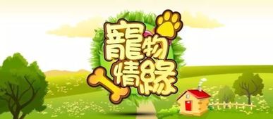 宠物健康优先，自制半干粮简单易行。