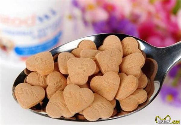 狗狗食欲不好怎么办？宠主能够试试，这5个办法