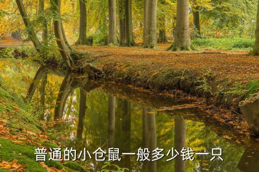 普通的小仓鼠一般多少钱一只