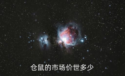仓鼠的市场价世多少