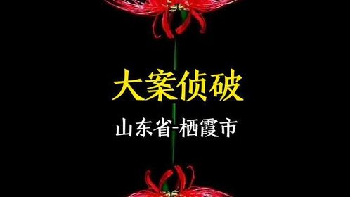 发生在山东省栖霞市的一桩离奇大案！