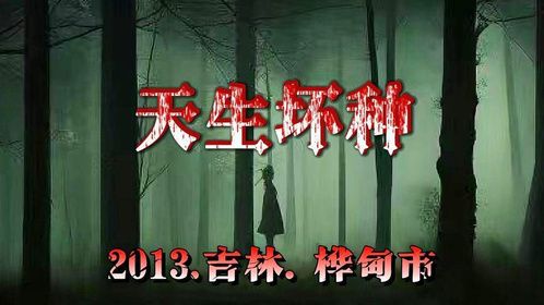 2013吉林桦甸市最难抓捕的b级逃犯 #案件纪实 #案件故事解说