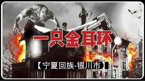 发生在宁夏回族自治区银川市的一桩离奇大案！