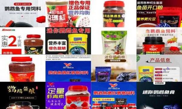 鹦鹉鱼饲料推荐