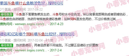 斗鱼饲料什么牌子好