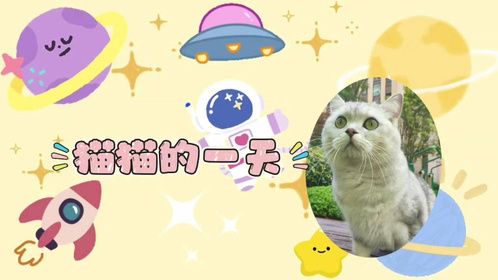 小猫咪的一天真的好累，毕竟每天都要“吃睡舔毛练爪子”