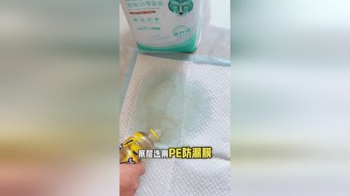 如何选择高吸水性能的宠物尿垫？