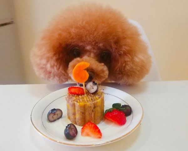 狗狗生日蛋糕~健康无添加版的做法