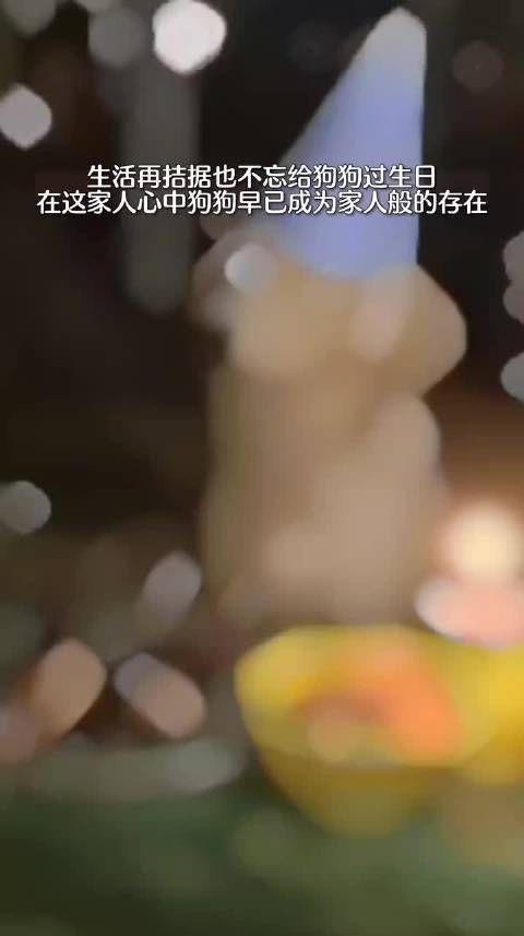 家人为陪伴多年的狗狗过生日,简单又浪漫的仪式……