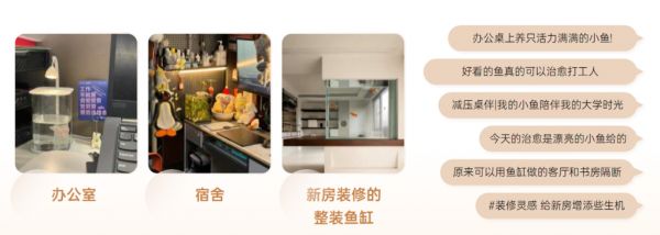 从这里开始，抓住水族新用户新增量：小红书电商闭门会议现场报道