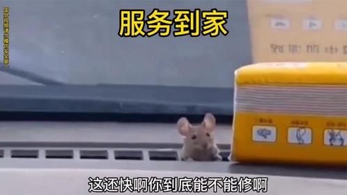 管家式服务，碰到个哏人！
