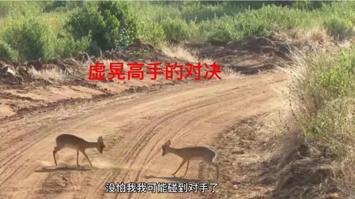 果然都是高手点到为止！