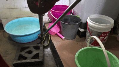 紧急提醒！贵州多地已出没！千万要小心
