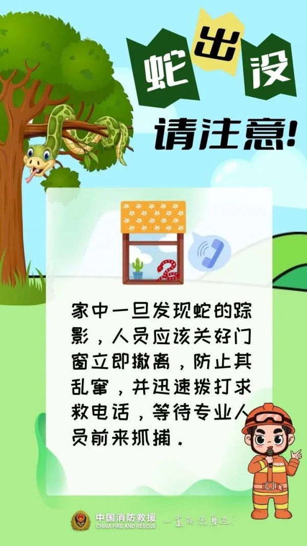 紧急提醒！贵州多地已出没！千万要小心