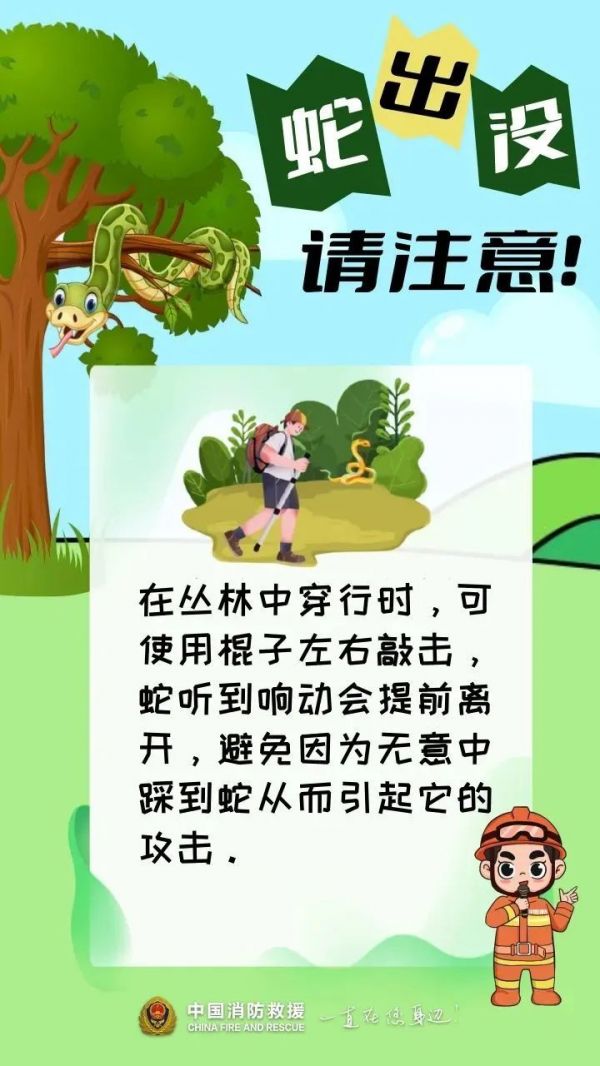紧急提醒！贵州多地已出没！千万要小心