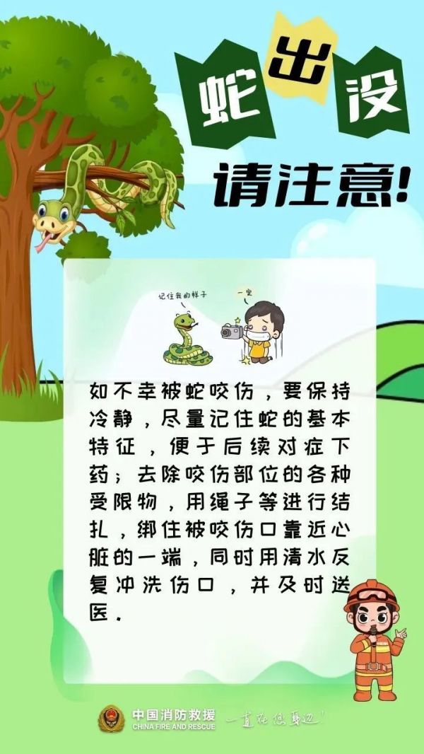 紧急提醒！贵州多地已出没！千万要小心