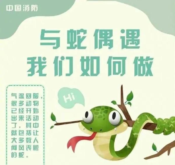 惊！一地出现百斤大蟒蛇，村民徒手“薅”蛇，网友：是个狠人！