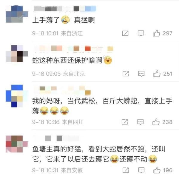 惊！一地出现百斤大蟒蛇，村民徒手“薅”蛇，网友：是个狠人！