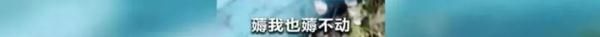 惊！一地出现百斤大蟒蛇，村民徒手“薅”蛇，网友：是个狠人！