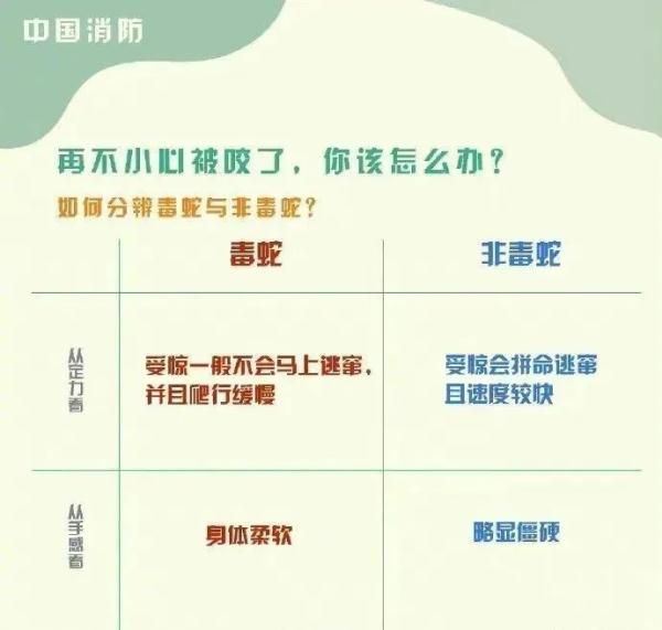 惊！一地出现百斤大蟒蛇，村民徒手“薅”蛇，网友：是个狠人！
